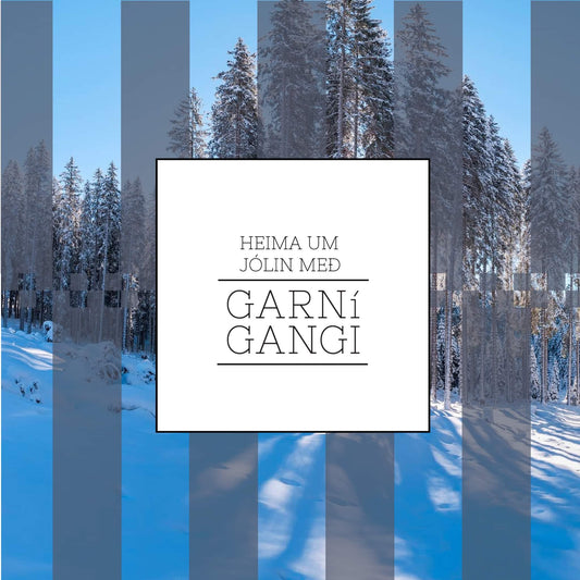 Heima um jólin með Garn í gangi