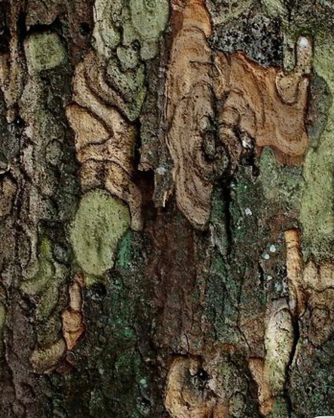 Aðventa með Garn í gangi